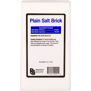Salt Brick