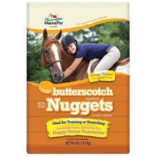 Load image into Gallery viewer, Bite Size Nuggets Horse Treats