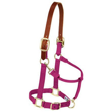 Load image into Gallery viewer, Weaver Original Breakaway Halter with Adjustable Chin