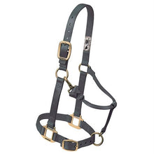 Load image into Gallery viewer, Weaver Original Adjustable Chin Nylon Halter