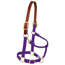 Load image into Gallery viewer, Weaver Original Breakaway Halter with Adjustable Chin