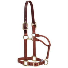 Load image into Gallery viewer, Weaver Original Breakaway Halter with Adjustable Chin