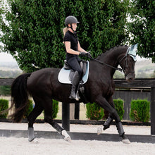 Load image into Gallery viewer, Weatherbeeta Prime Ombre Dressage Saddle Pad