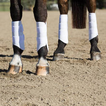 Load image into Gallery viewer, Professional's Choice Pro Performance Elite REAR XC Boots