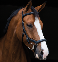Load image into Gallery viewer, * Rambo Micklem Deluxe Competition Bridle with Reins