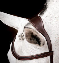 Load image into Gallery viewer, Rambo Micklem 2 Competition Bridle with Reins