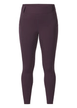 Load image into Gallery viewer, Kerrits Coolcore Full Leg Tech Tight