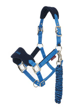Load image into Gallery viewer, Lemieux Vogue Halter and Lead
