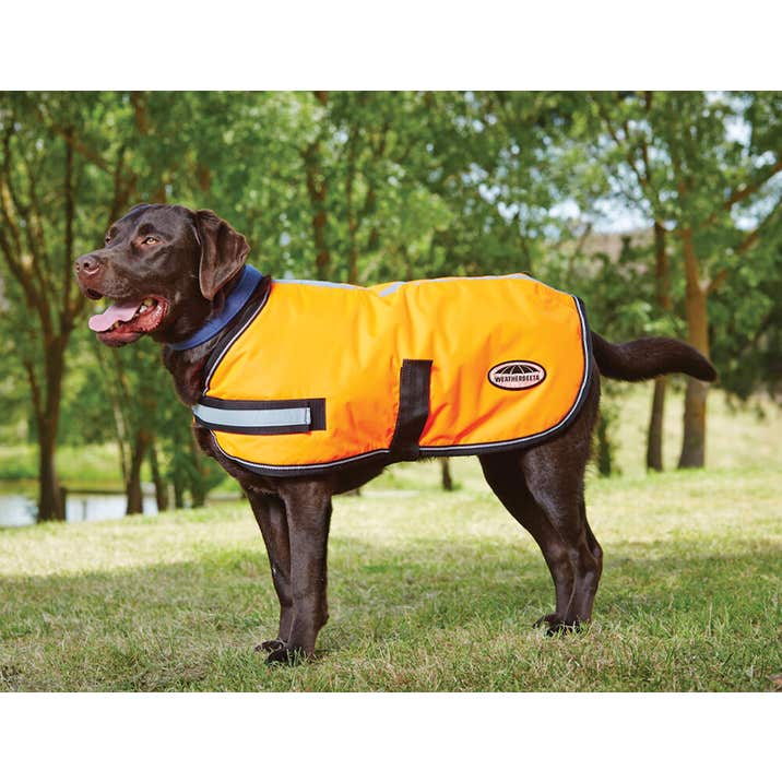 Weatherbeeta 300D Deluxe Reflective Showerproof Dog Coat