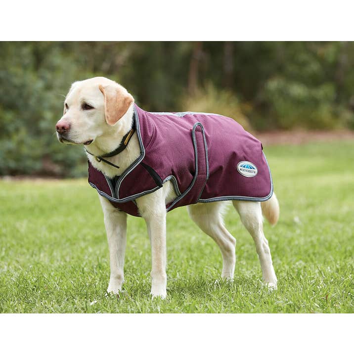 Comfitec Premier Deluxe Waterproof Dog Coat