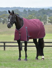 Load image into Gallery viewer, Weatherbeeta Essential Standard Neck Mid Weight