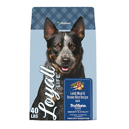 Loyall Life Adult Lamb & Brown Rice Dog Food