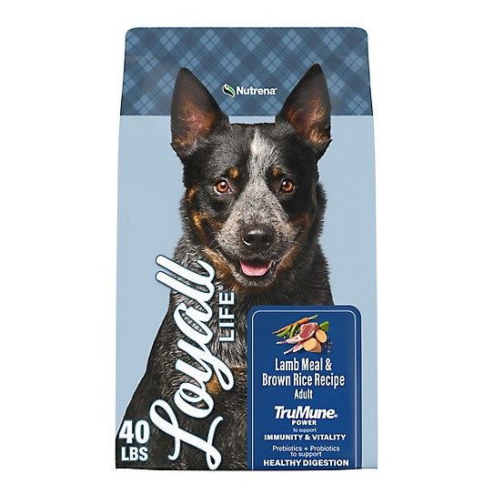 Loyall Life Adult Lamb & Brown Rice Dog Food