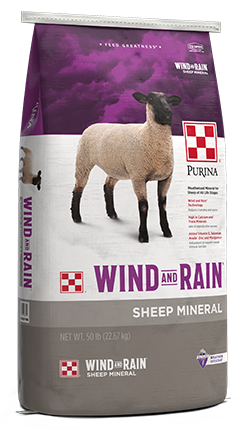 Wind and Rain Sheep Mineral
