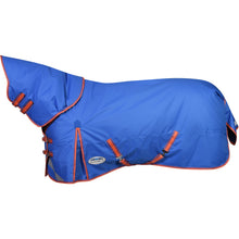 Load image into Gallery viewer, Weatherbeeta Comfitec Plus Detach-A-Neck Mid Weight