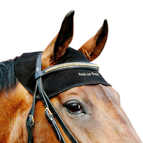 Equine Head Cap-black : full