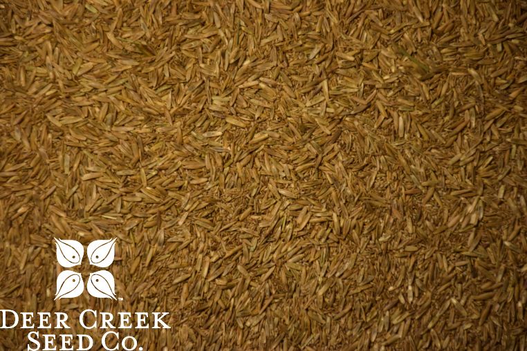50lb Pasture Seed Mix