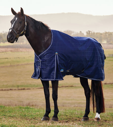 Weatherbeeta Comfitec Prelim Standard Neck Lite