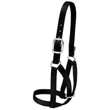 Load image into Gallery viewer, Nylon Cattle Halter
