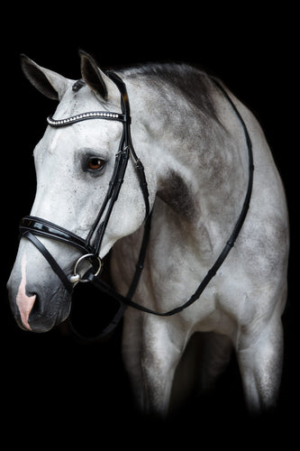 Red Barn Pace Patent Dressage Bridle