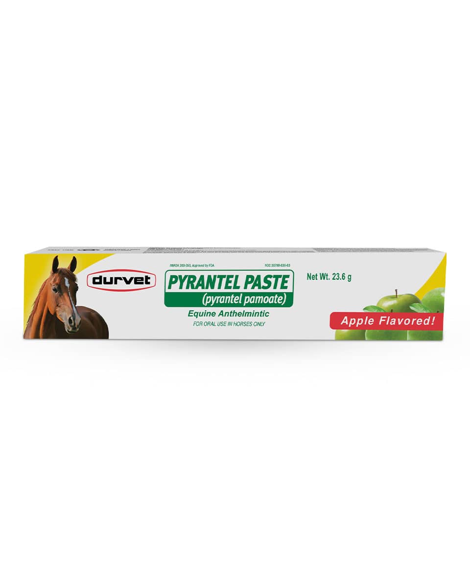 Strongid Pyrantel Paste