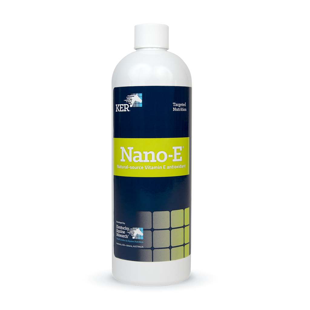 Nano-E