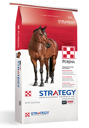 Purina Strategy GX