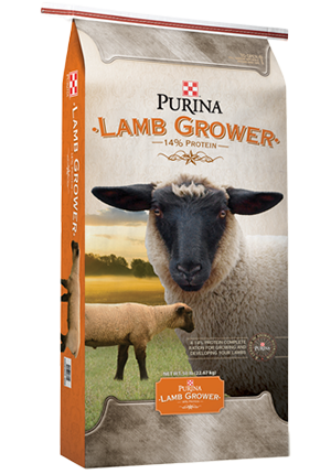 Purina Lamb Grower Pelleted Sheep Feed
