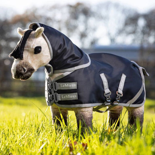 Toy Pony Blanket
