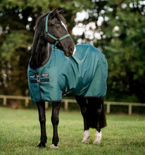 Load image into Gallery viewer, Amigo Ripstop 900D Pony Lite