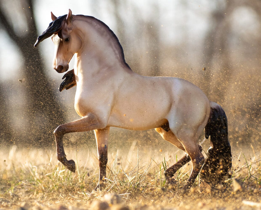 Cossaco Breyer