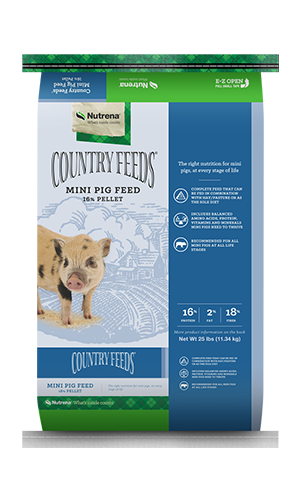Country Feeds Mini Pig Feed