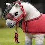 Toy Pony Vogue Halter and Lead