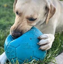 Jolly Pet Soccer Ball-blue : large 8"