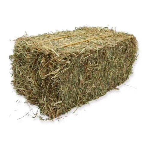 2nd Cut Maine Hay
