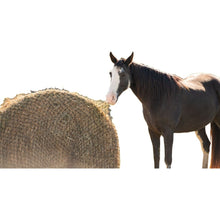 Load image into Gallery viewer, Texas Haynet Round Bale Hay Net