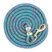 Load image into Gallery viewer, Weaver 10&#39; Poly Lead Rope