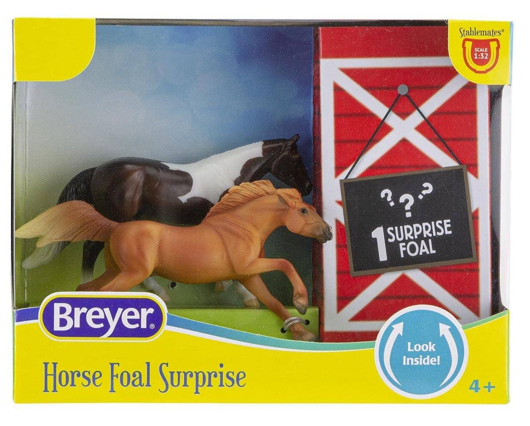 Mystery Foal Surprise Gift Box