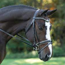 Stride Dressage Bridle