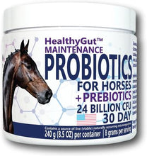 Load image into Gallery viewer, HealthyGut Maintenance Probiotics