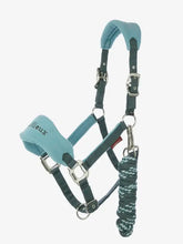 Load image into Gallery viewer, Lemieux Vogue Halter and Lead