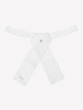 Load image into Gallery viewer, Lemieux Stock Tie