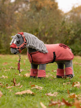 Load image into Gallery viewer, Toy Pony Blanket