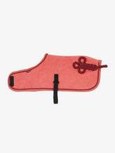 Load image into Gallery viewer, Toy Pony Blanket