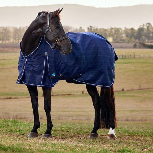 Weatherbeeta Comfitec Prelim Standard Neck Medium