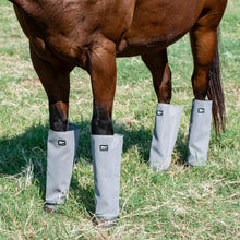 Load image into Gallery viewer, Cashel Leg Guards (Set of 4)