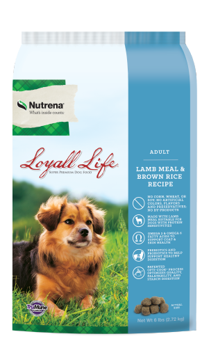 Loyall Life Adult Lamb & Brown Rice
