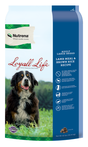 Loyall Life LARGE BREED Adult Lamb & Brown Rice