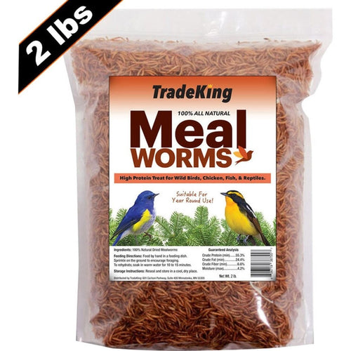 Hentastic Meal Worms