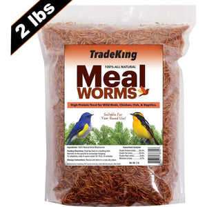 Hentastic Meal Worms
